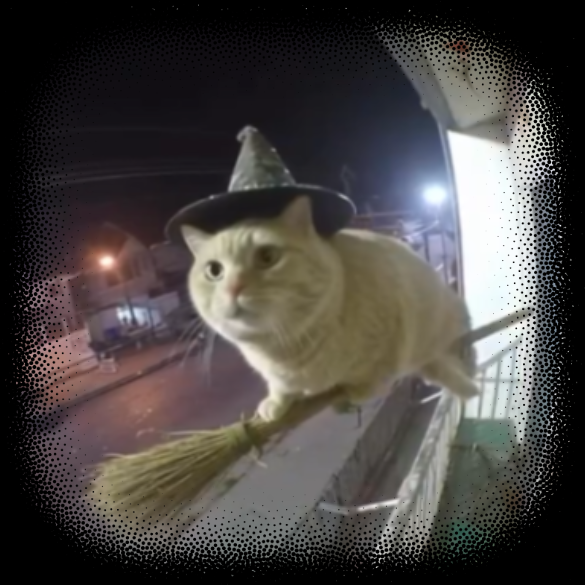 Pawter