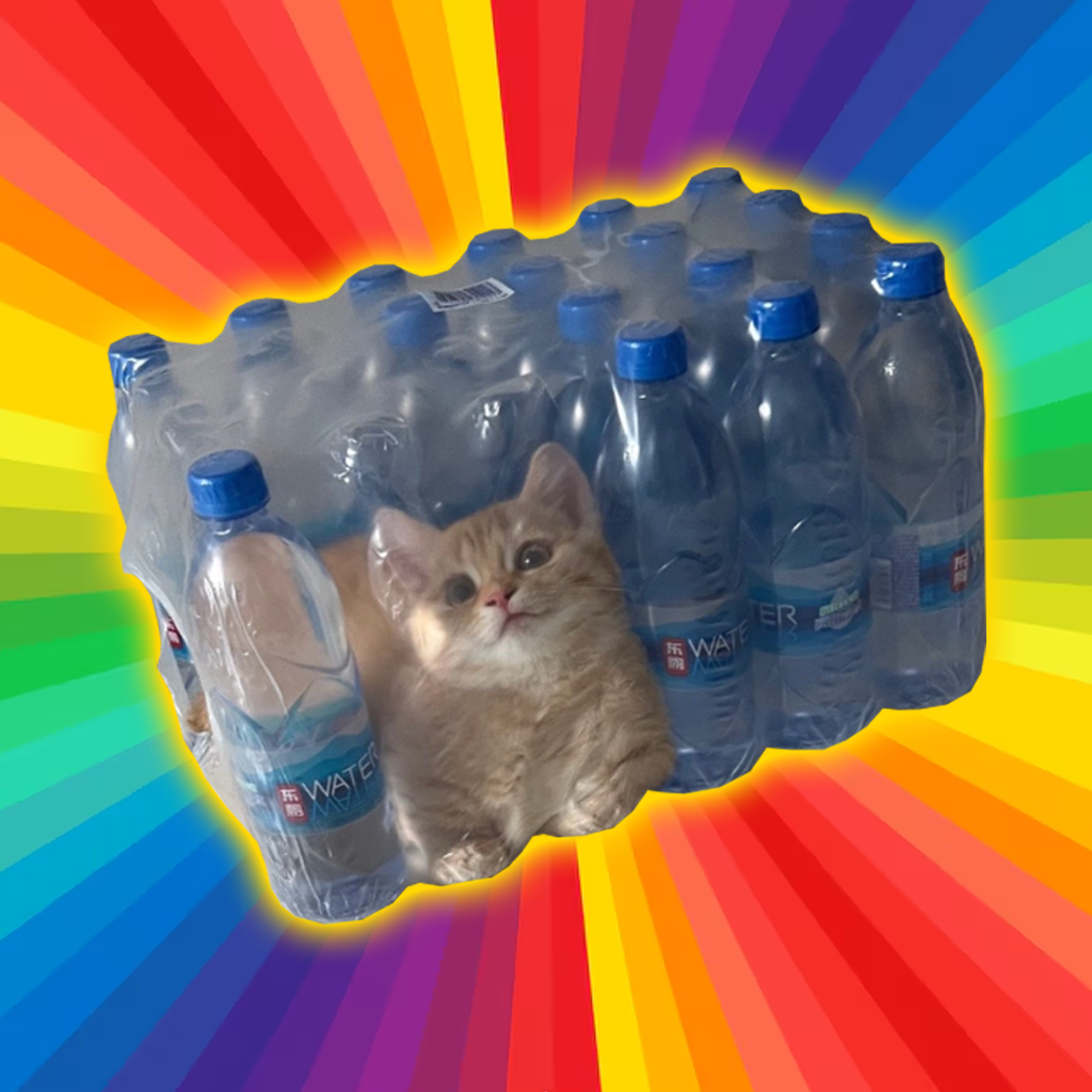 watercat