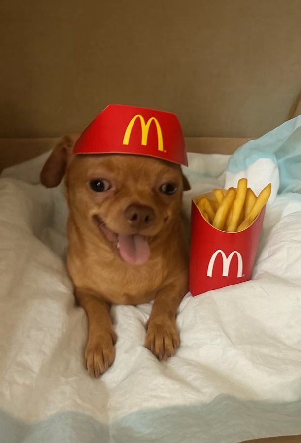 mcdog