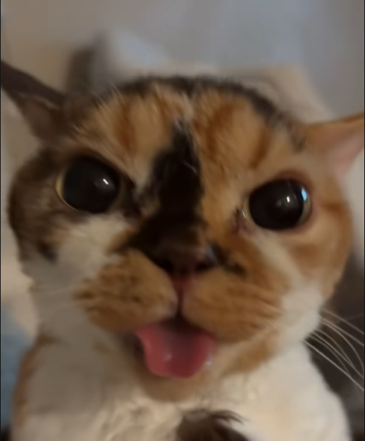 Binky