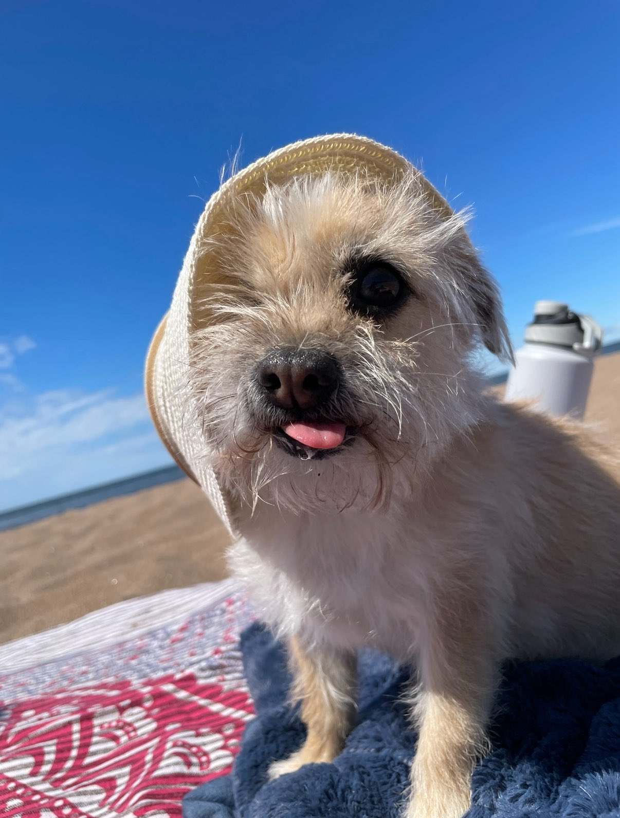 LOLA