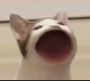POPCAT