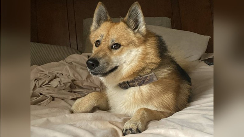 Caesar