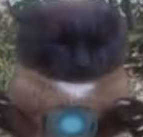 Kurama