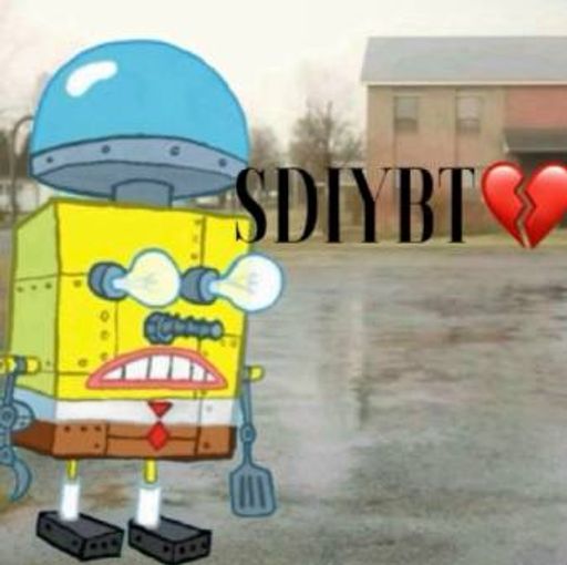 SDIYBT