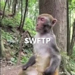 WFTP