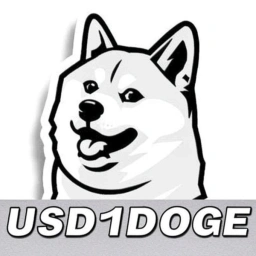USD1DOGE
