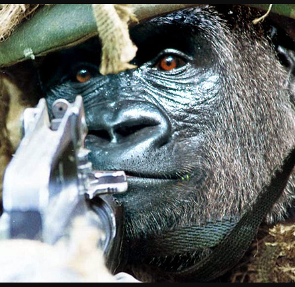 NavySeal