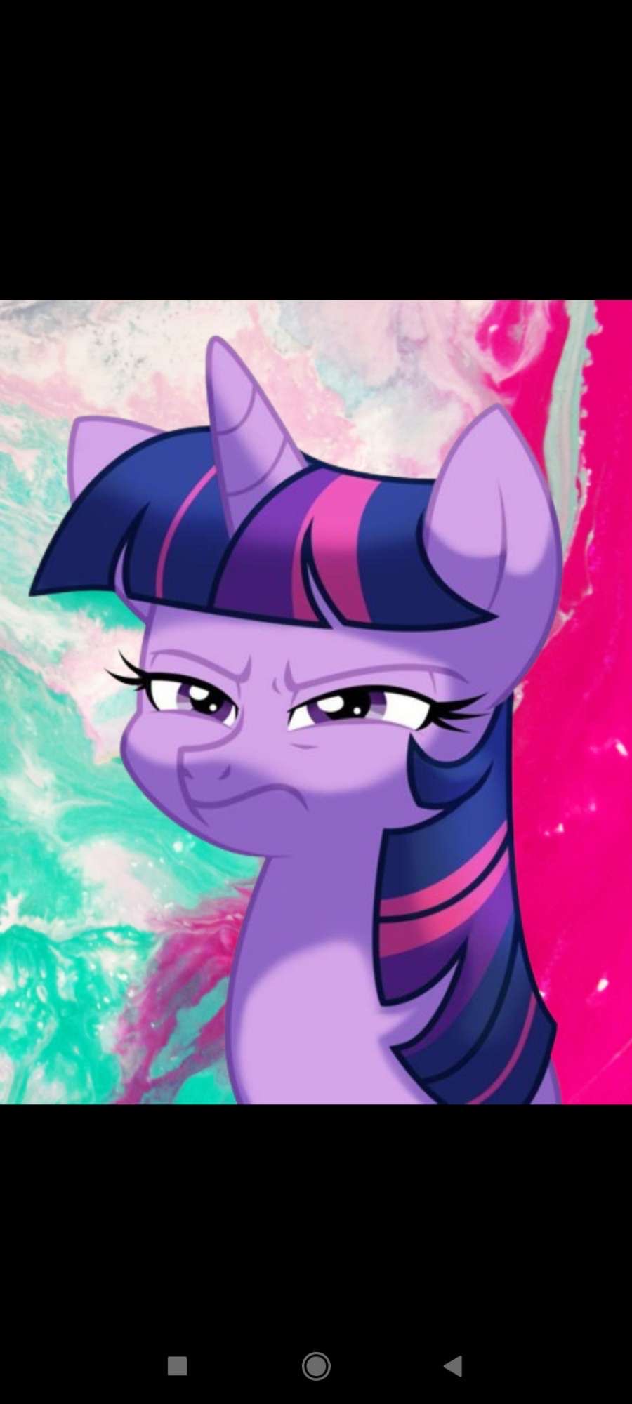 pony
