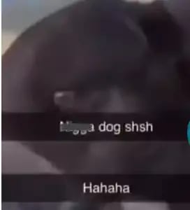 NIggaDog