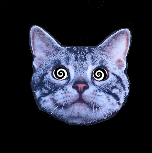 SCAT