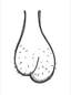 Ball Sack