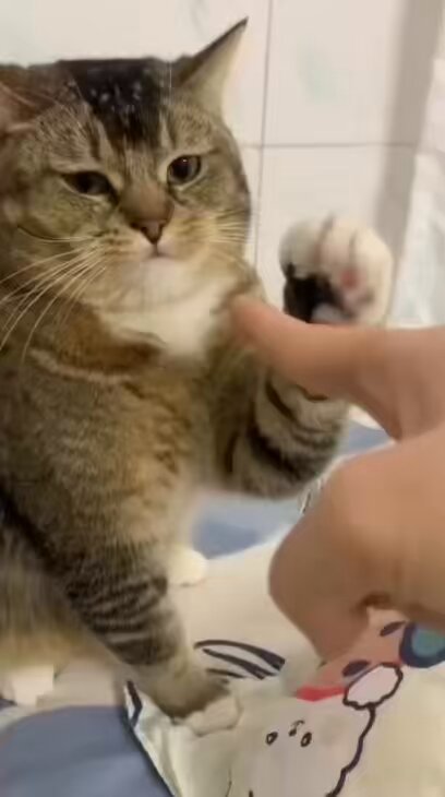 HOOMAN