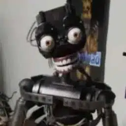 MIMIC