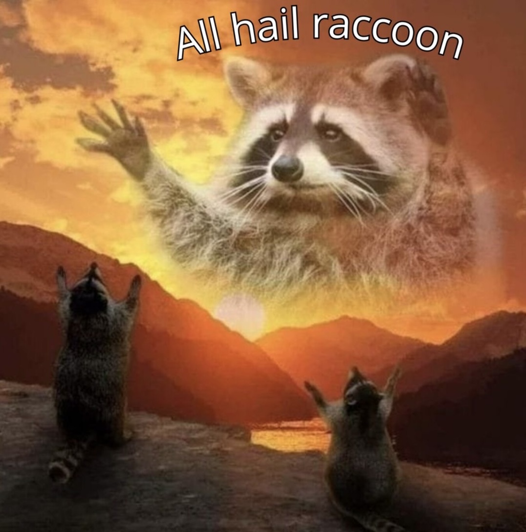 $COON