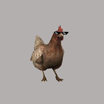 Chicken