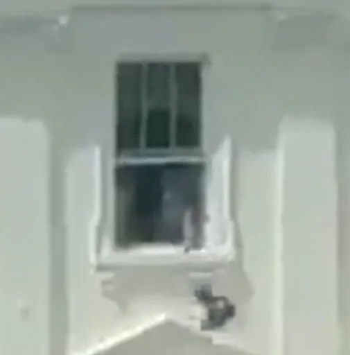 Window
