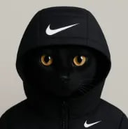 YN