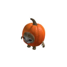 pumpcat
