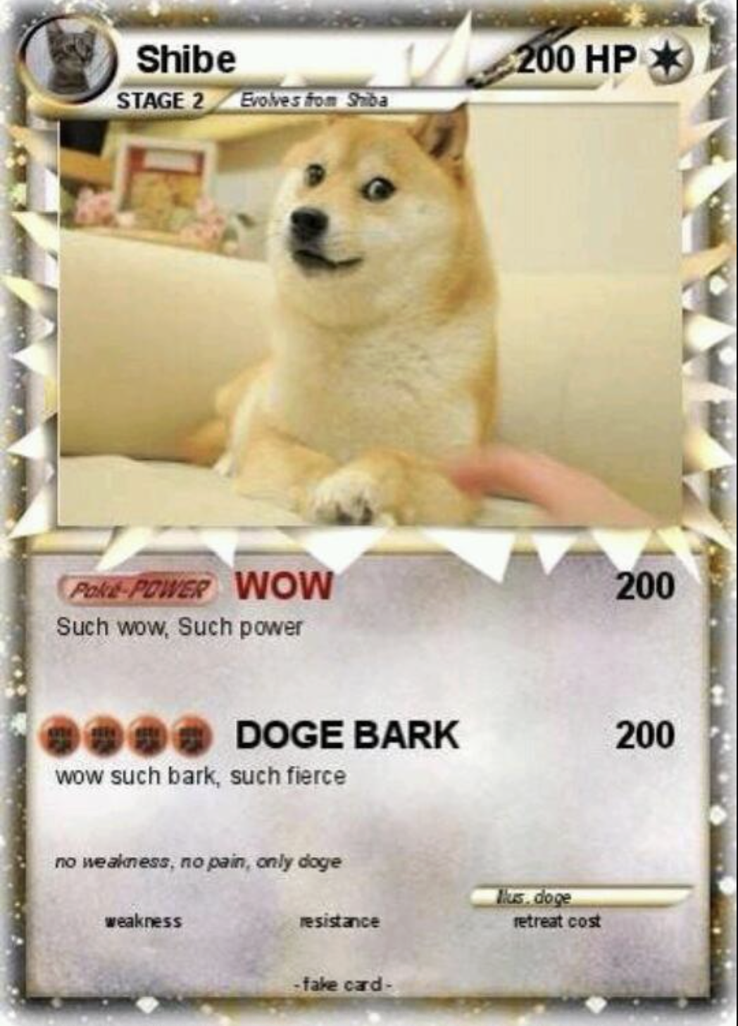 Shibe