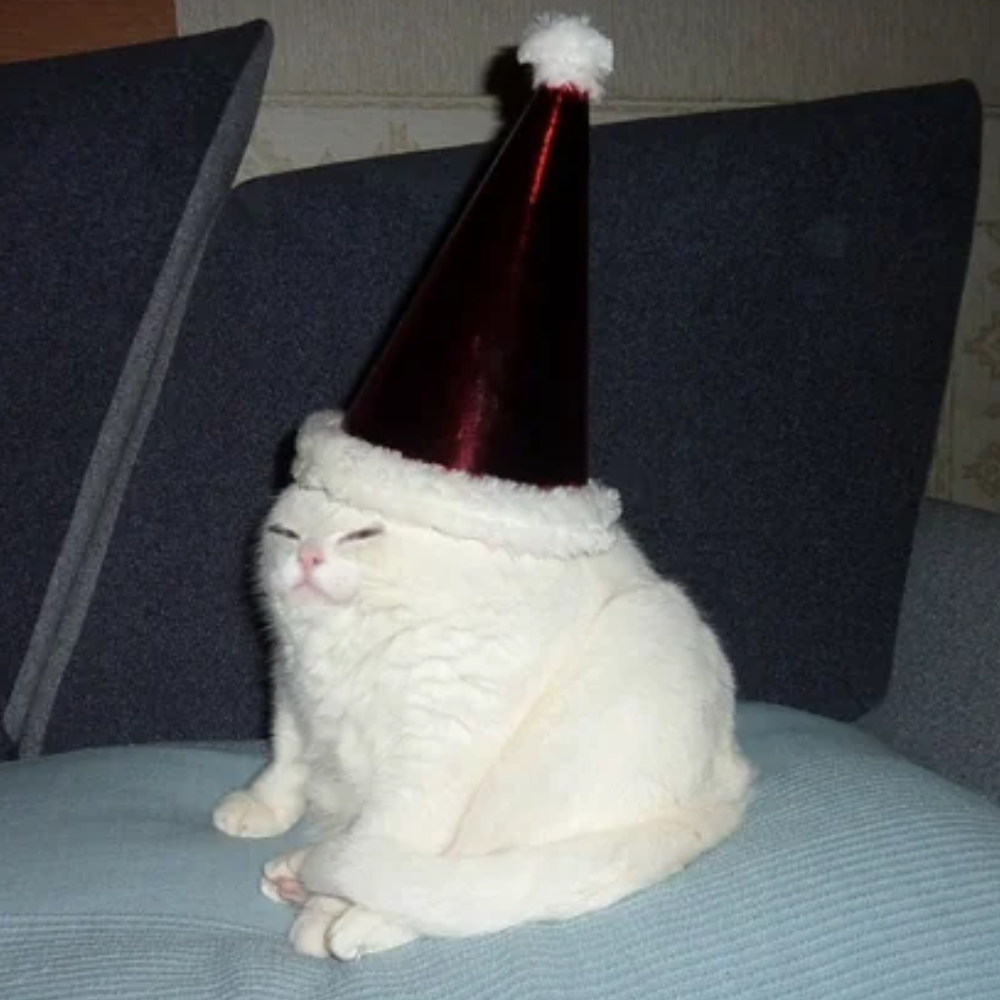 hatcat