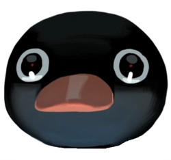 NOOT