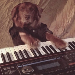 KEYDOG