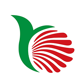 HXH