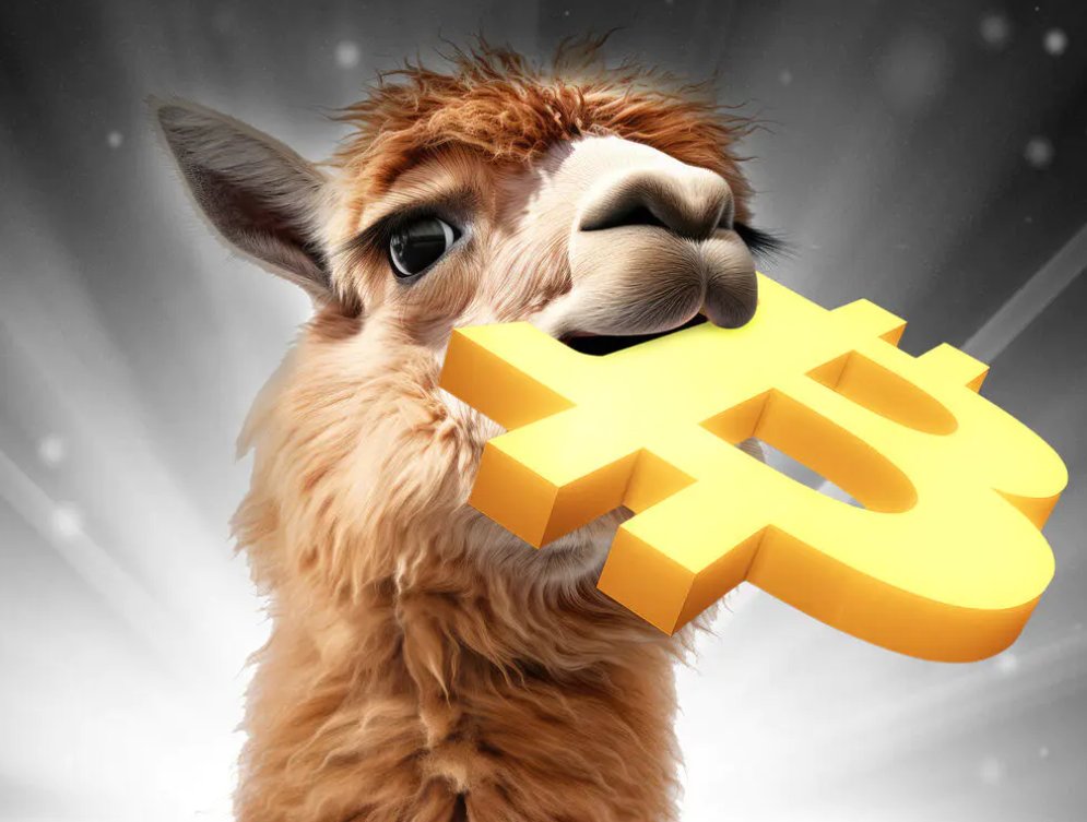ALPACA