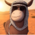 donkey