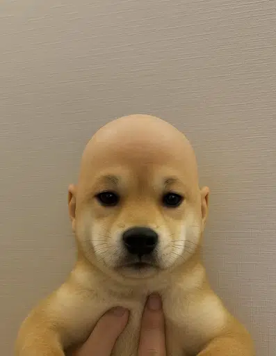 Wifout