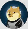 DOGE1
